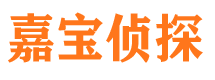 中宁市调查公司